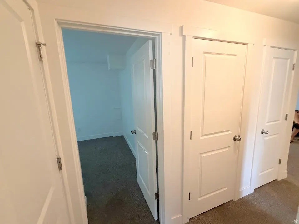 Interior hallway with white doors, white trim, and gray carpet