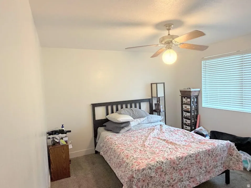 Carpeted room with a ceiling fan light fixture and a window with horizontal blinds