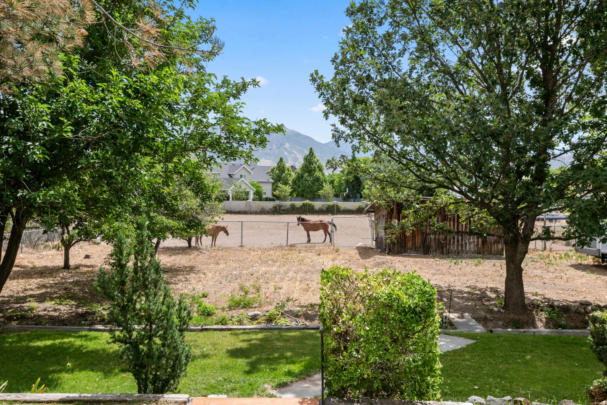 Outdoor equestrian area featuring a fenced riding space, an rustic wood-sided outbuilding, and mature trees providing shade