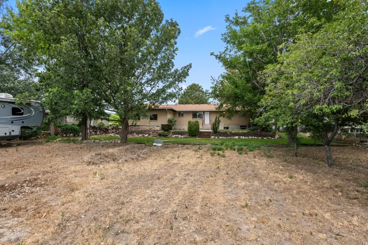 Ranch-style residence featuring a light-colored exterior and a brown shingle roof