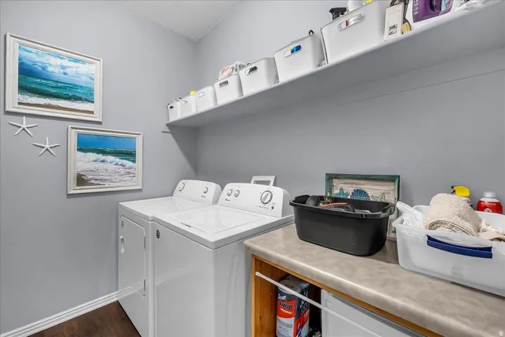 Dedicated laundry area featuring a countertop, shelving, and wood-finish flooring