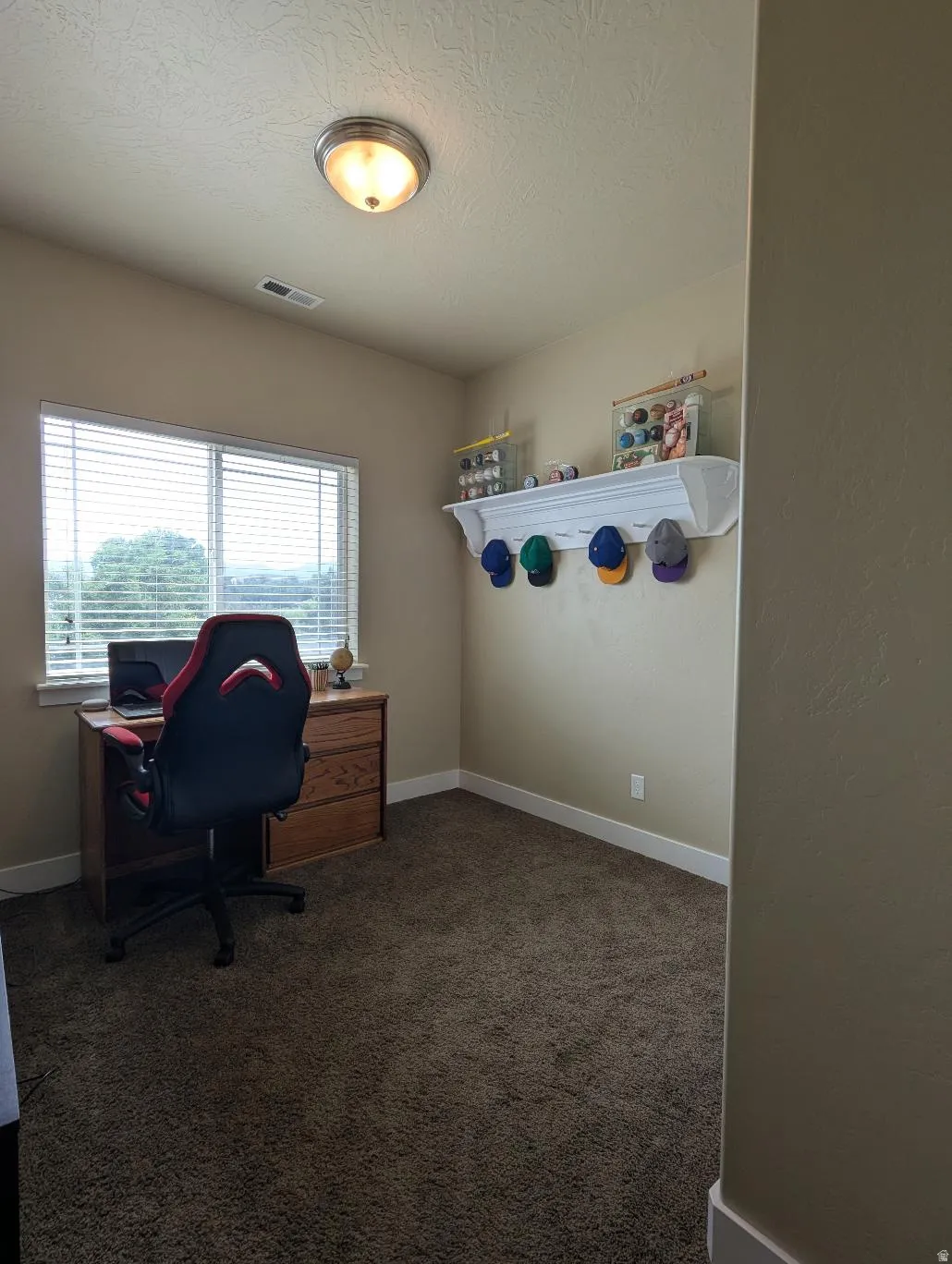 Carpeted room featuring a double window with blinds, a ceiling-mounted light fixture, white baseboards, and a built-in wall shelf with coat hooks