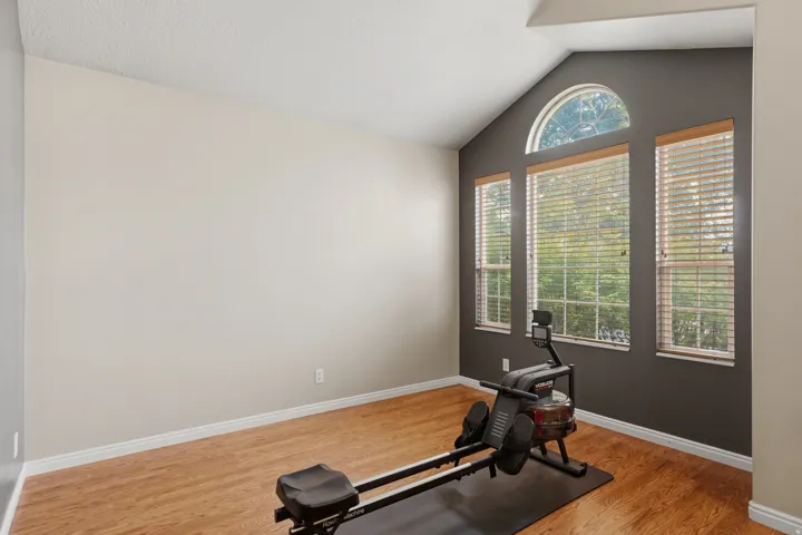 Vaulted ceiling with an arched window and two vertical windows featuring wood-finish blinds