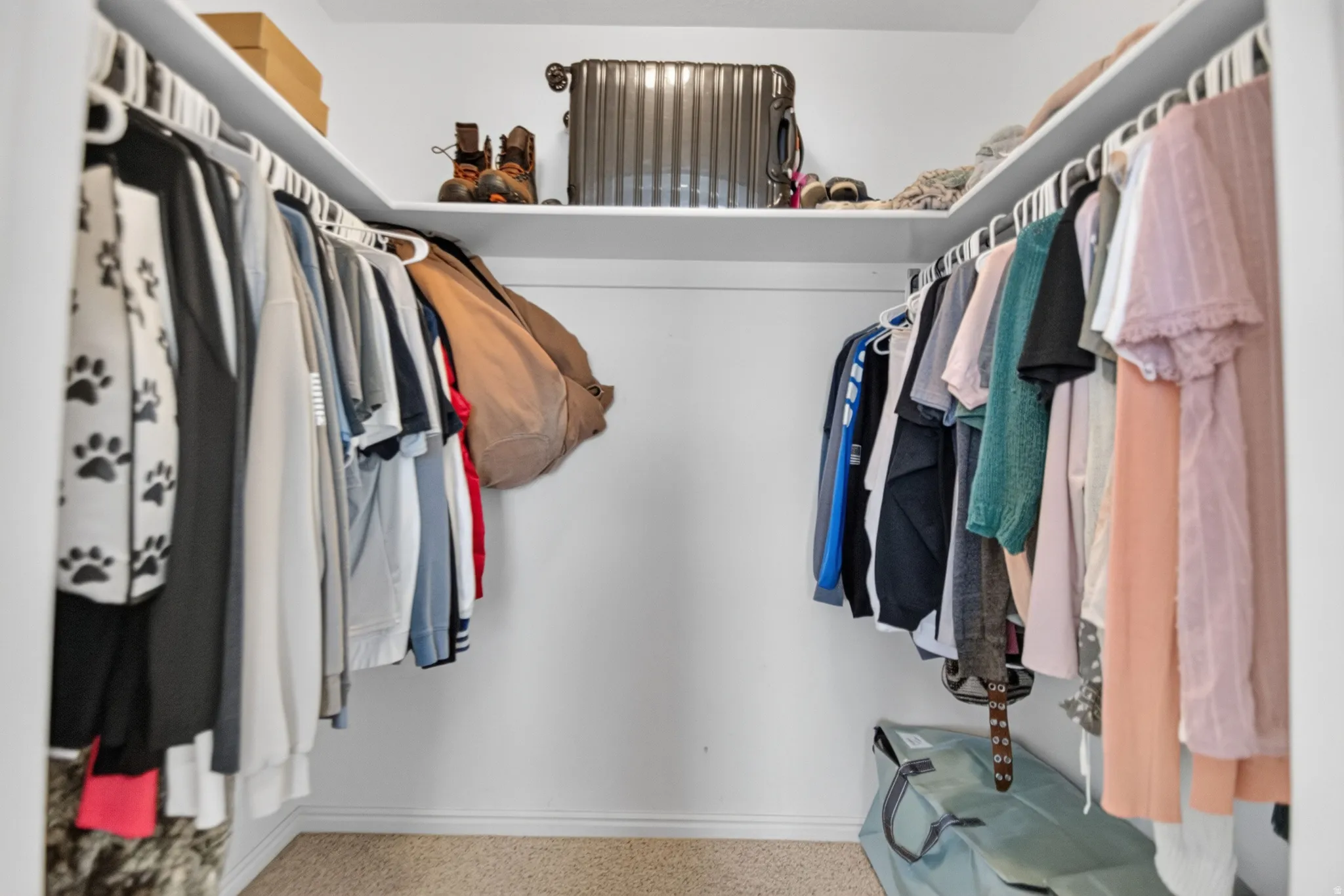 Walk-in closet featuring built-in shelving, ample hanging rods, white-painted walls, and carpet flooring