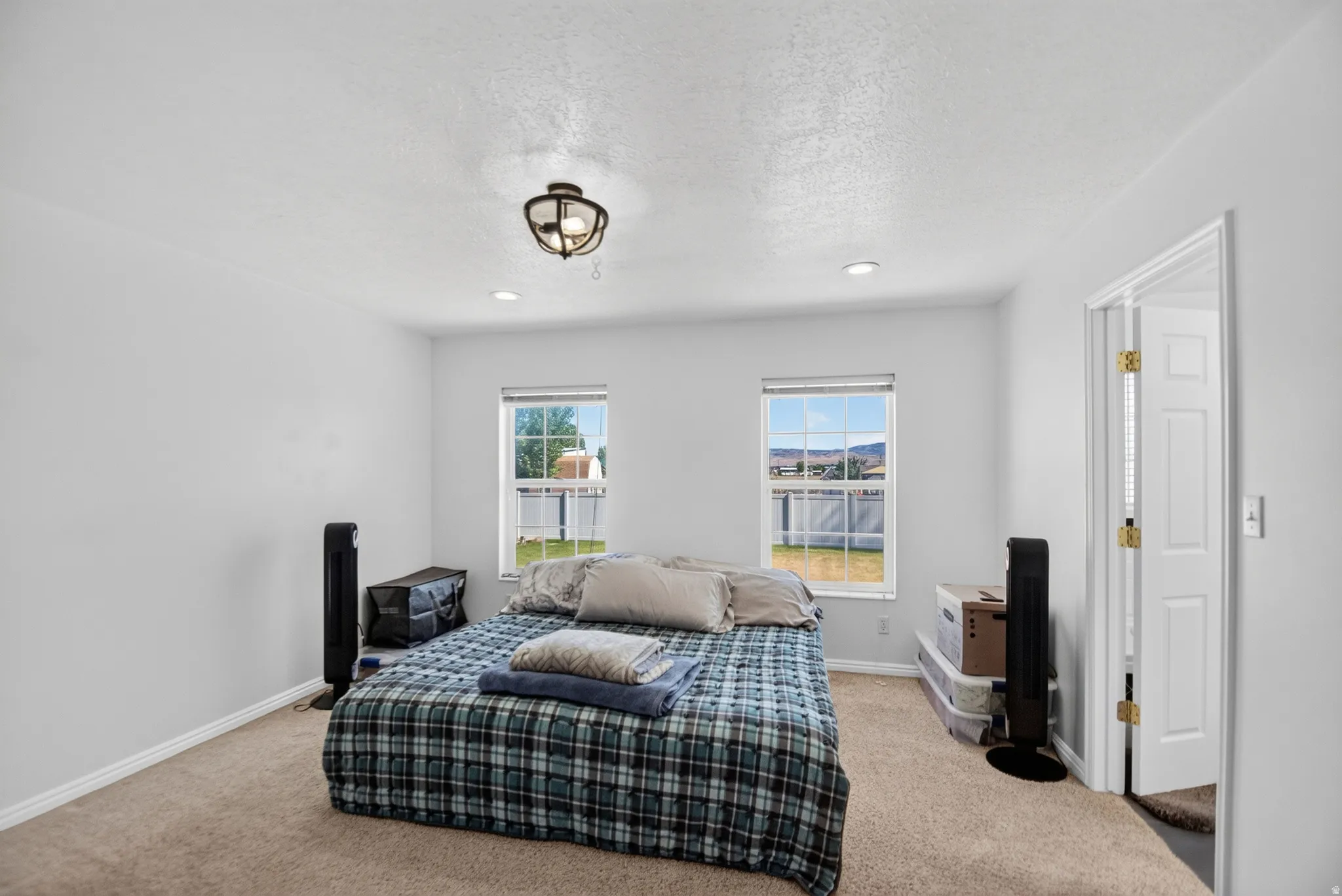 Carpeted room with white walls, two windows, and a ceiling-mounted fixture