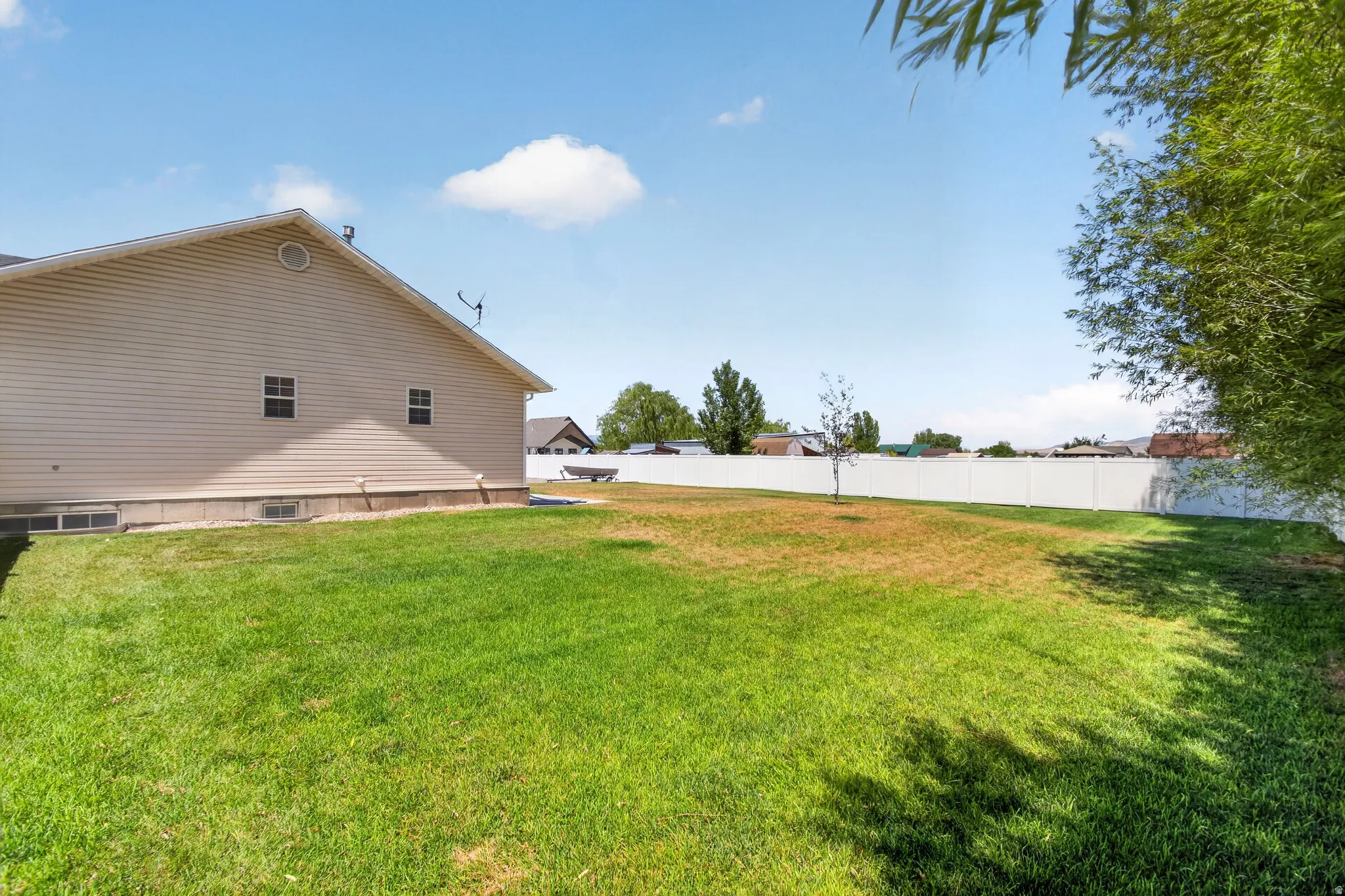 Spacious backyard featuring a large lawn area, a full-height privacy fence, and a young deciduous tree