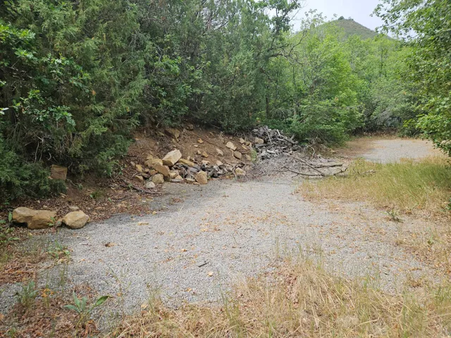 Gravel lot with natural landscaping, surrounded by mature trees and verdant foliage