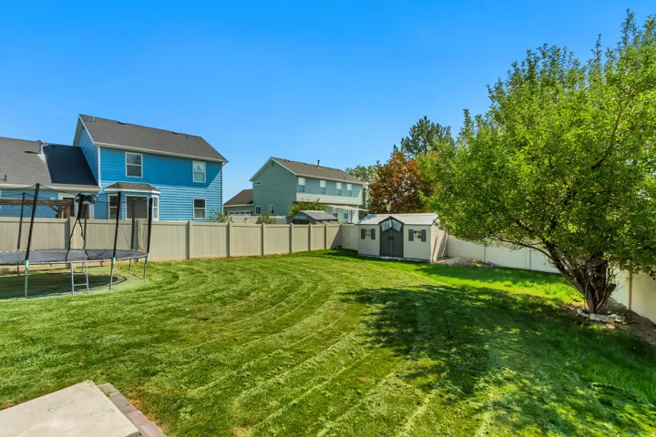 Expansive backyard featuring a manicured lawn, established mature tree, and a storage shed