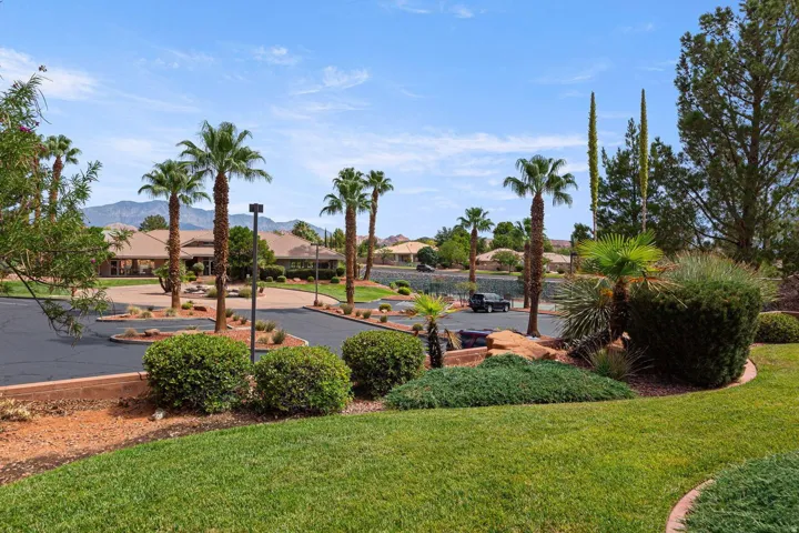 Landscaped grounds with a curvilinear lawn, mature palm trees, various shrubs, and a paved circular driveway