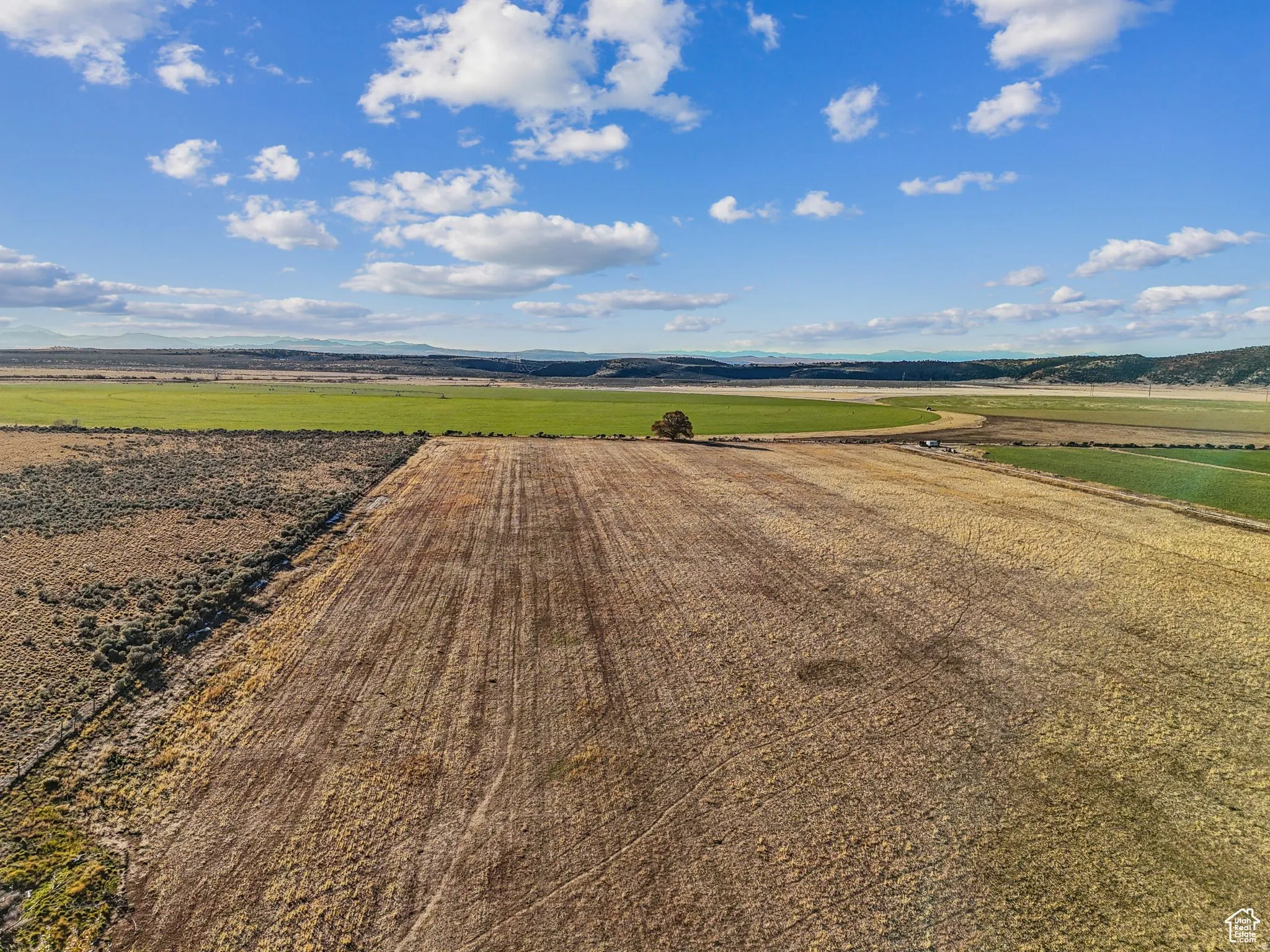 Expansive agricultural land featuring cultivated fields, natural terrain, and a distant tree line
