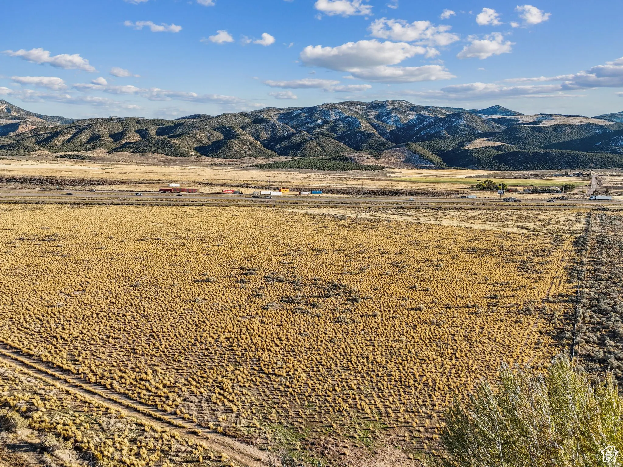 Expansive open terrain featuring natural vegetation