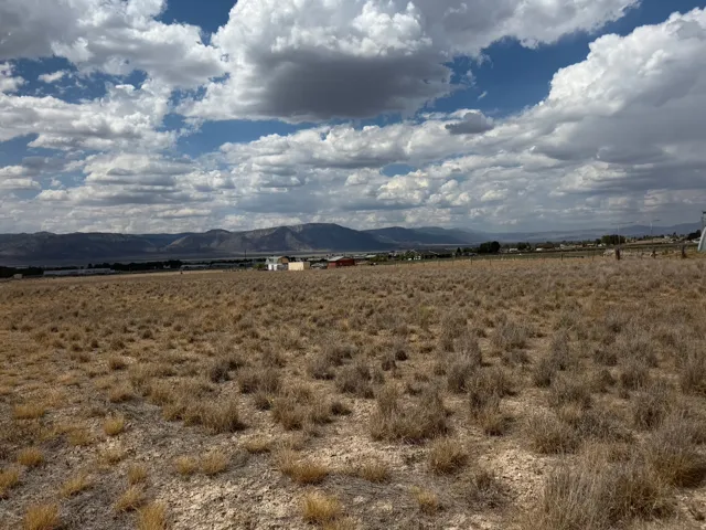 Expansive undeveloped lot featuring natural groundcover