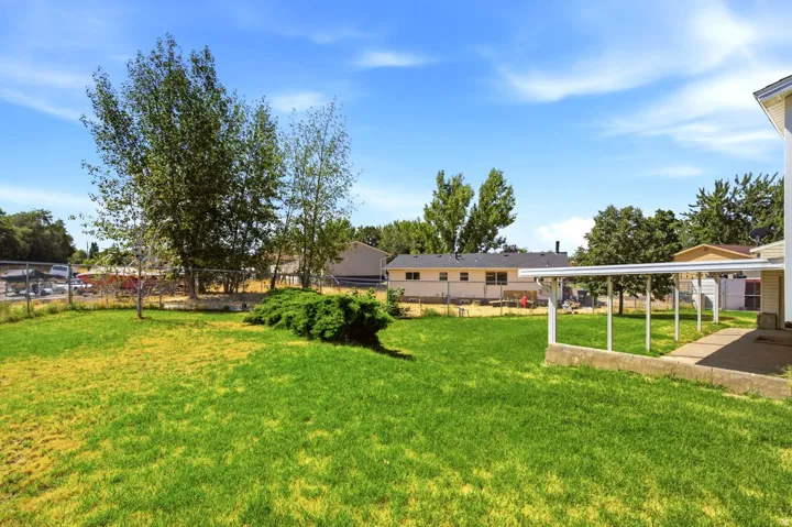 Expansive backyard featuring a covered patio, chain-link fencing, mature trees, and a decorative shrub