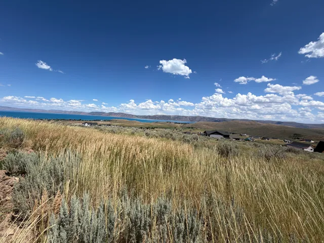 Expansive natural landscape featuring varied grasses and sagebrush, distant water body, and surrounding hills