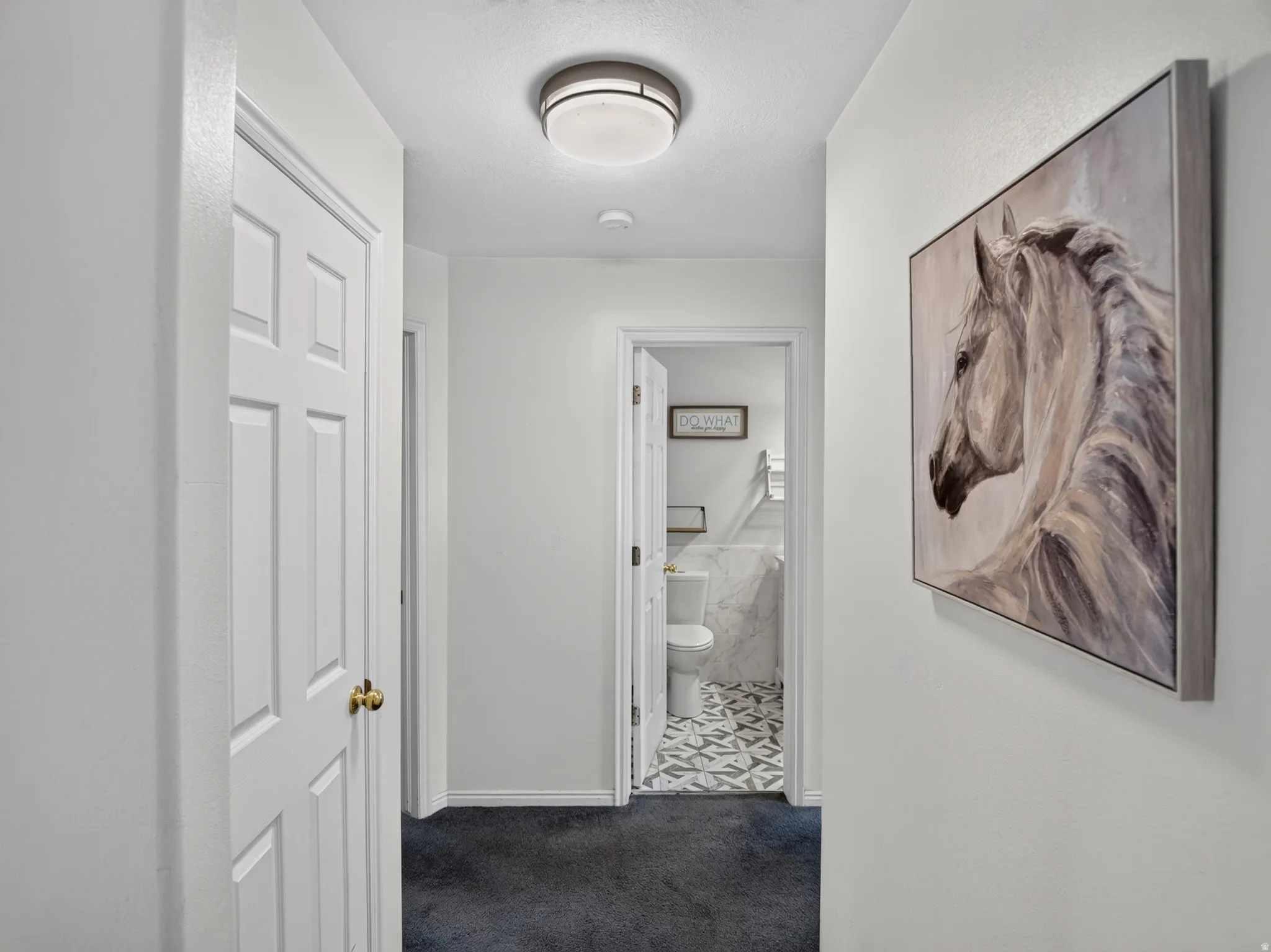 Hallway featuring white panel doors, overhead flush-mount lighting, and dark carpet flooring