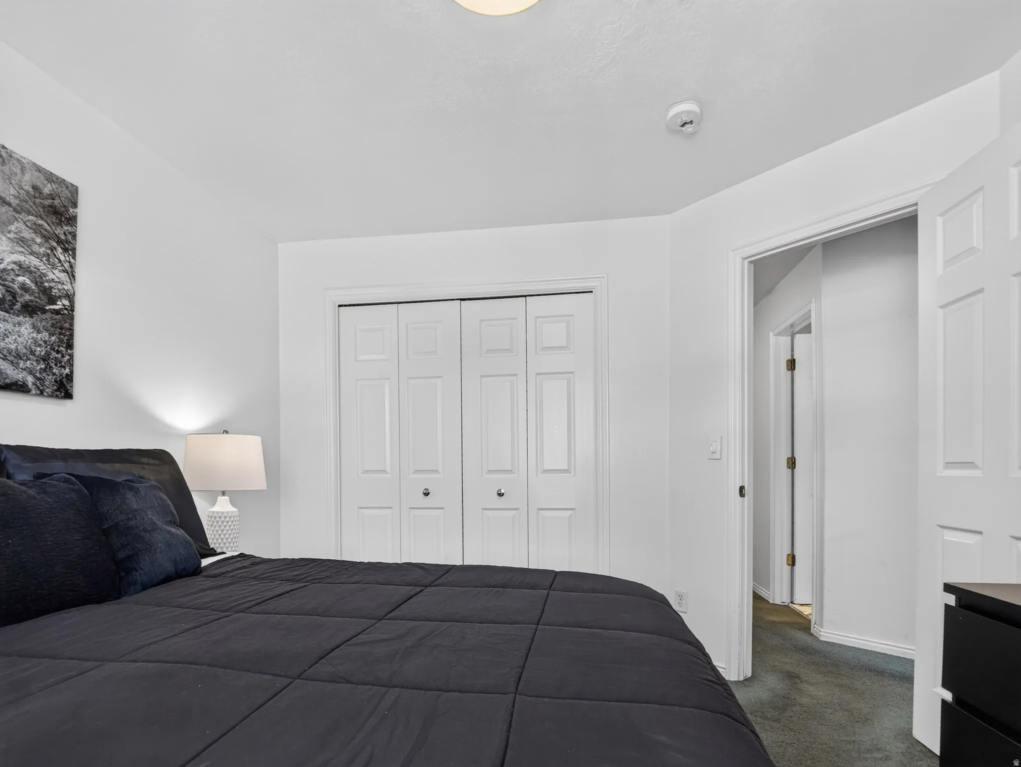 Second Room featuring white painted walls and trim, wall-to-wall carpeting, and a ceiling-mounted light fixture