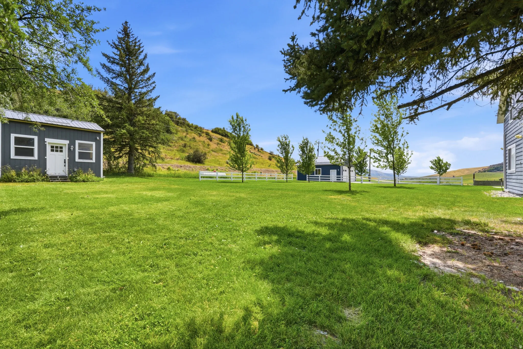 Expansive green lawn with scattered deciduous trees
