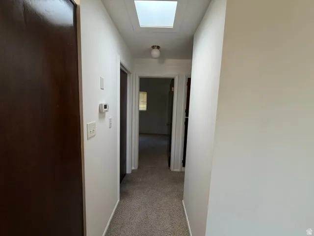 Hallway featuring light-colored carpeting, white walls, and a ceiling-mounted light fixture