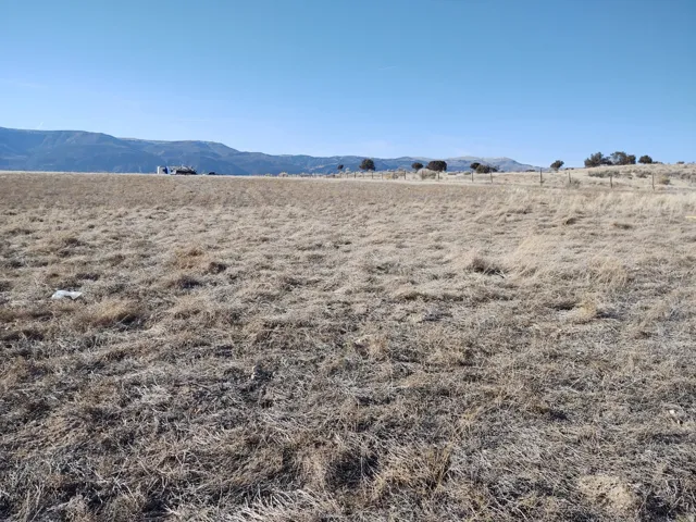 Expansive open land featuring natural grass, a clear sky overhead, distant mountains, and a perimeter fence line