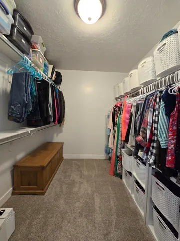 Spacious walk-in closet featuring plush gray carpeting, built-in wire shelving, ample hanging storage, ceiling-mounted light fixture, and white wall finishes