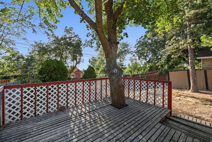 Expansive wood-finish decking featuring a built-in mature tree, decorative lattice railing, and steps descending to a private yard