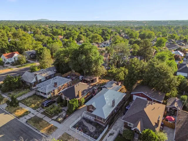 Residential street featuring multiple properties with mature tree coverage and a distant mountain range