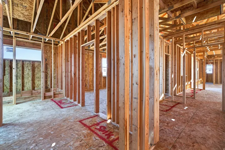 New construction framing showcasing structural integrity
