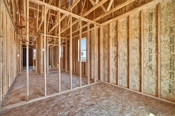 New construction framing showcasing structural integrity