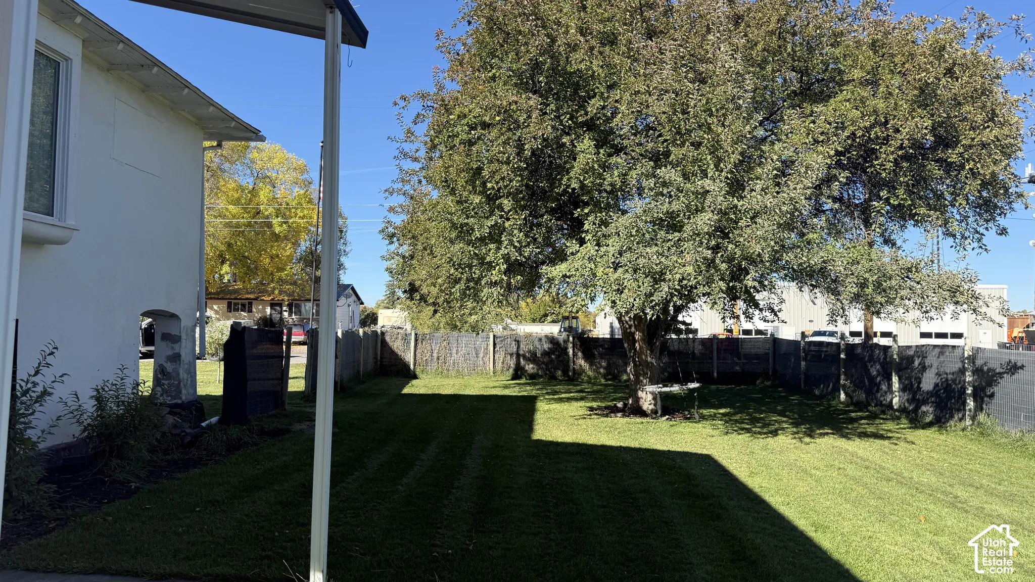 Backyard featuring a manicured lawn, mature trees, and perimeter fencing