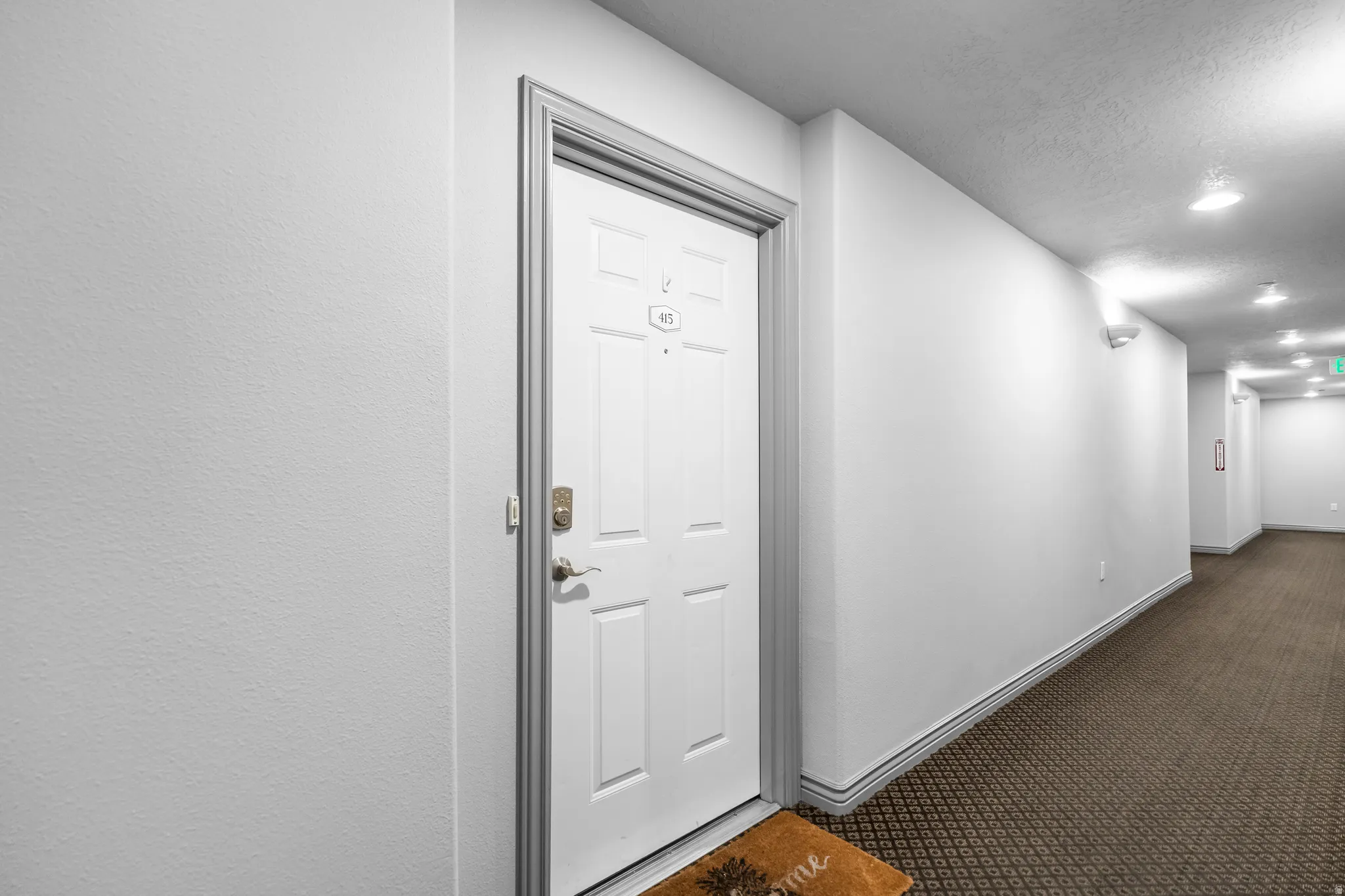 Entrance door with panel detailing and gold-tone hardware