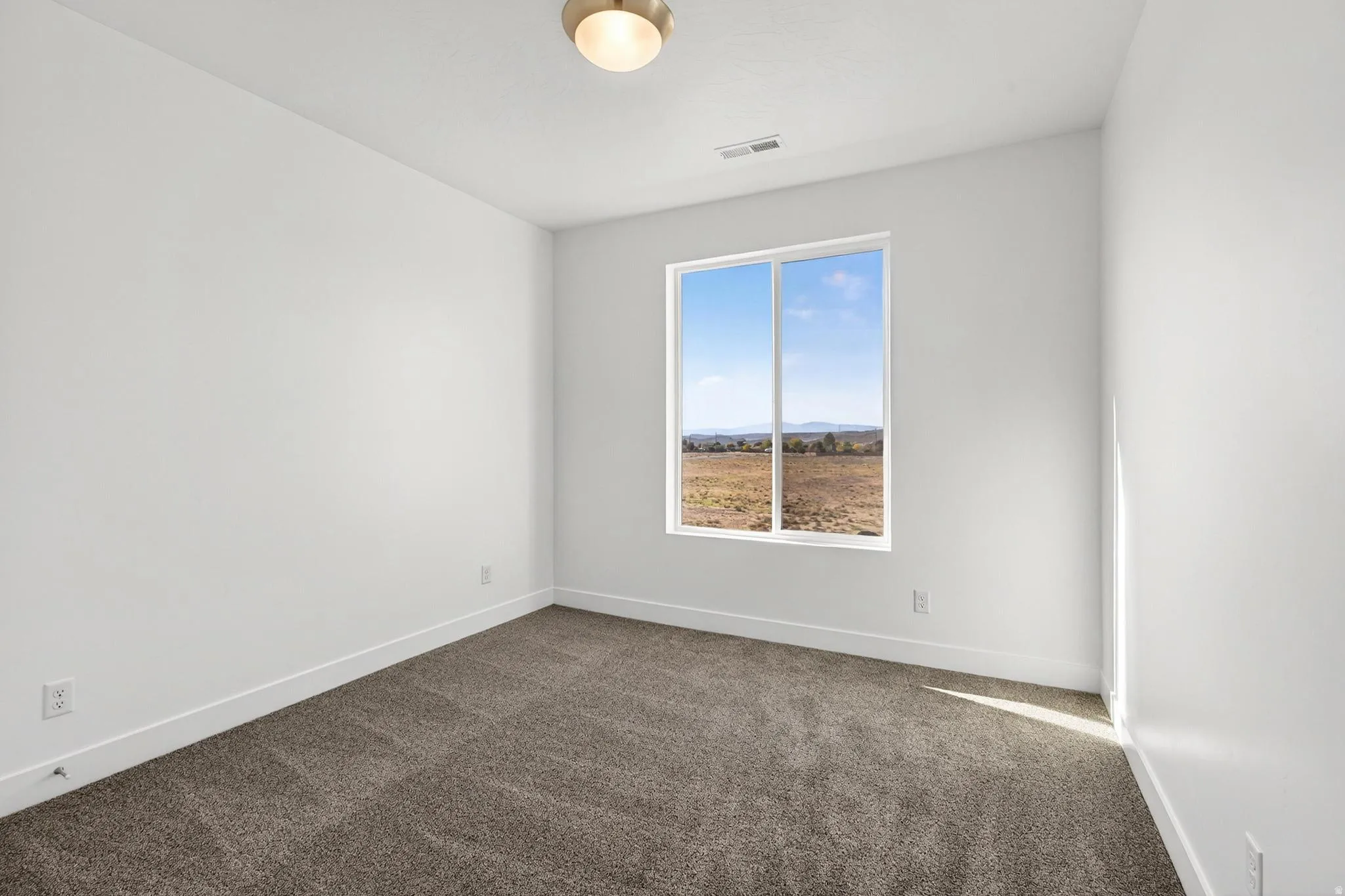 Window with a neutral interior palette featuring white walls, white baseboards, and textured carpeting