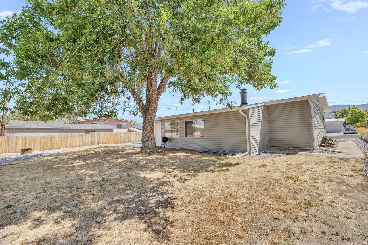 Expansive backyard featuring a mature shade tree, a gravel pathway, and a privacy fence