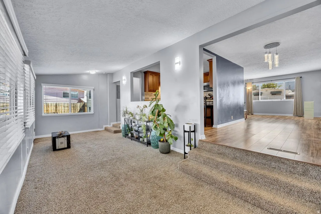 Multi-level interior featuring a carpeted lower level and wood-finish flooring on the upper level