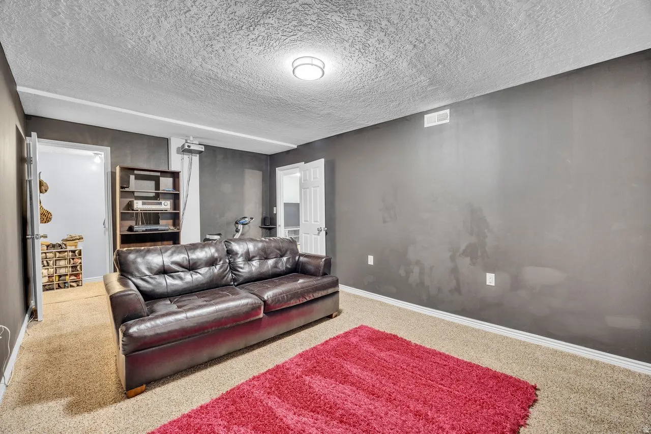 Carpeted room featuring dark gray walls and a textured white ceiling