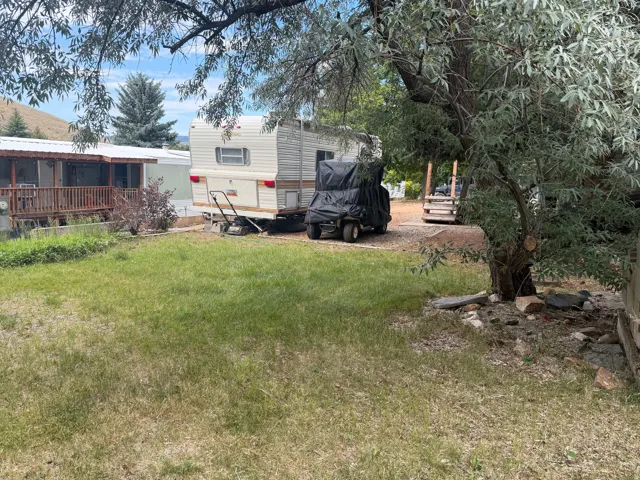 Expansive lawn area with a large mature tree providing shade