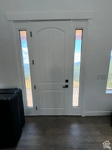 Entry door with an arched top panel and vertical plank detailing, flanked by two full-length sidelight windows