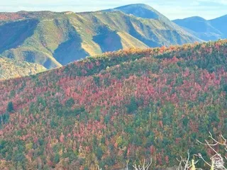 Expansive mountain terrain featuring diverse foliage and distant peaks