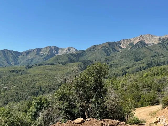 Expansive mountain scenery featuring rugged peaks, dense green foliage, and a clear blue sky