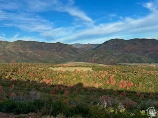 Expansive mountain scenery featuring diverse foliage, a clear blue sky with light clouds, and a distant valley floor