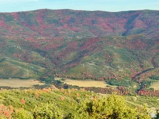 Rolling hills with varied foliage, including areas of green and red-hued trees, under a clear sky