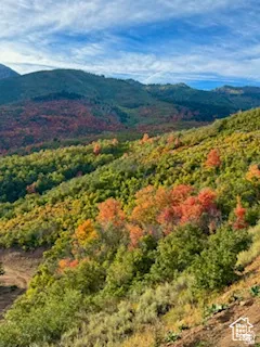 Mountainous landscape showcasing vibrant autumn foliage, a diverse array of mature trees, and a clear blue sky with scattered clouds