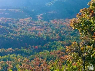 Expansive mountain landscape featuring varied tree canopies with autumn foliage