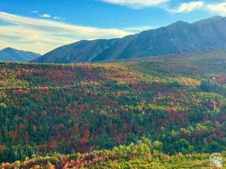 Expansive mountainous landscape with natural foliage