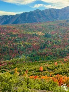 Expansive mountain landscape featuring varied foliage