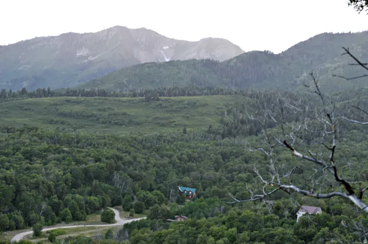 Expansive natural landscape featuring lush green foliage and distant mountains