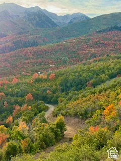 Mountainous terrain with a winding unpaved road traversing a landscape of diverse foliage