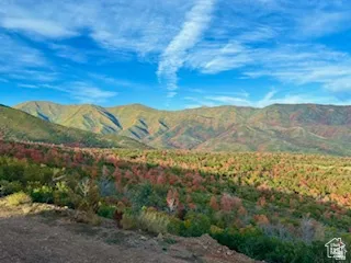 Expansive mountain scenery featuring rolling peaks and a diverse tree line