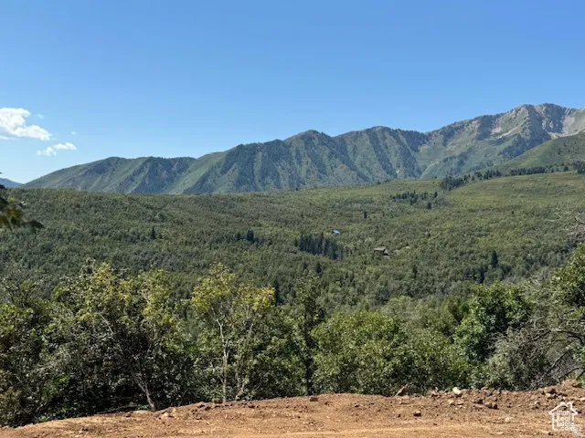 Mountainous terrain featuring a dense forest canopy and visible distant structures under a clear sky