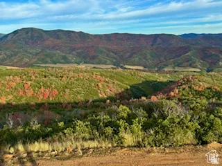 Expansive mountain landscape featuring varied green and red foliage