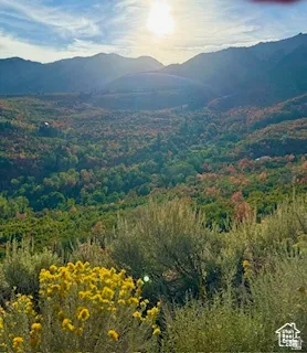Expansive mountain landscape with diverse foliage and natural ground cover